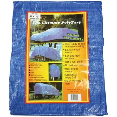 HOWARD BERGER Heavy Duty Tarp, Blue, Plastic V810